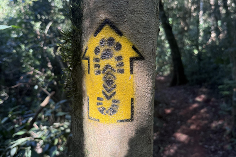 Hiking in Iguaçu National Park: A nature hike Trails in Iguaçu National Park: A hike through nature