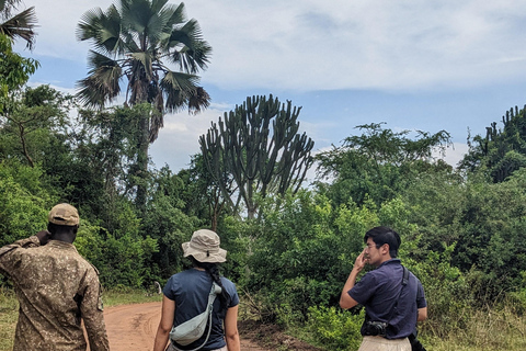 Murchison Falls 2-Day Safari with Boat Cruise
