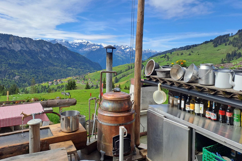 Unterseen: Alpine Cheese Farm Visit & Cheesemaking