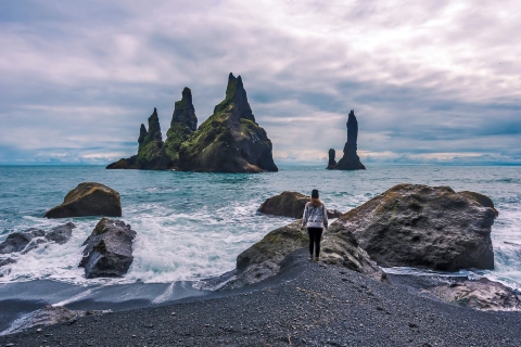Z Reykjaviku: Całodniowa wycieczka po południowym wybrzeżuWycieczka bez transportu