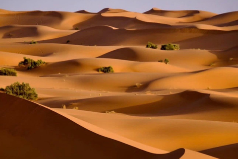 From Marrakech: 10-Day Morocco Highlights Tour