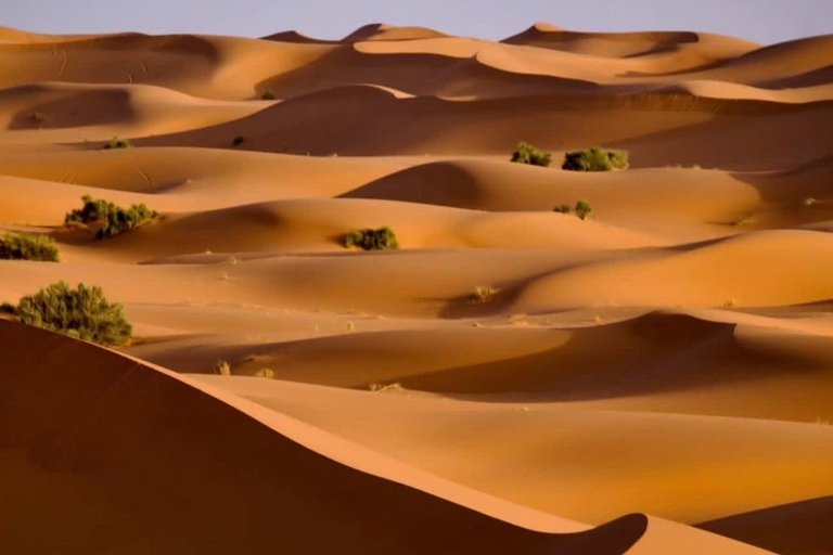 From Marrakech: 10-Day Morocco Highlights Tour