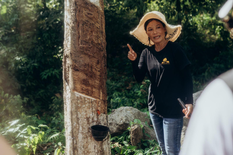 Phuket: Bukit Elephant Park Sanctuary Tour with Lunch
