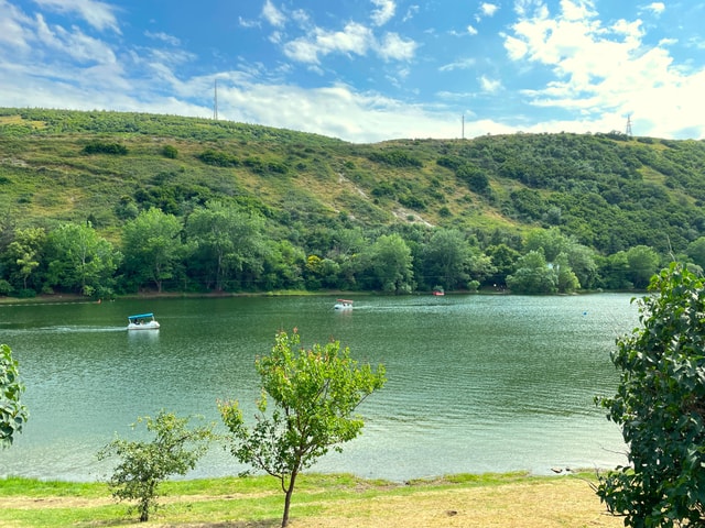 Tbilisi 2 Parks: Turtle Lake & Dedaena Park with Flea Market