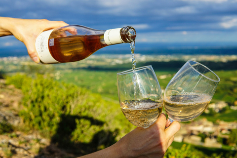 Tour de medio día del vino de Vouvray desde Tours