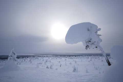 Rovaniemi: World's northernmost Roller Coaster +Riisitunturi