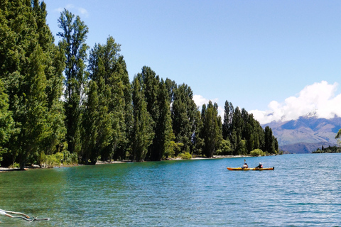 6 Day Northern Loop New Zealand Private Tour from Auckland