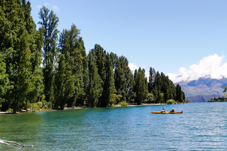 6 Day Northern Loop New Zealand Private Tour from Auckland
