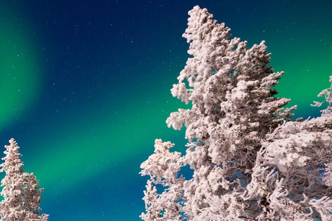 LEVI Adults Only Northern Lights Hunt (ALL INCLUDED) Adults Only Aurora Hunt in the Finnish wilderness