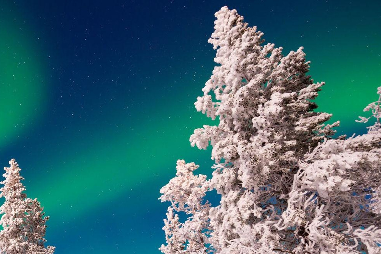 LEVI Adults Only Northern Lights Hunt (ALL INCLUDED) Adults Only Aurora Hunt in the Finnish wilderness