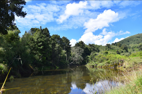 Discover Aberdare Park, Lake Naivasha & Hells Gate (3 days) Aberdare Park, Lake Naivasha & Hell's Gate (from Nairobi)