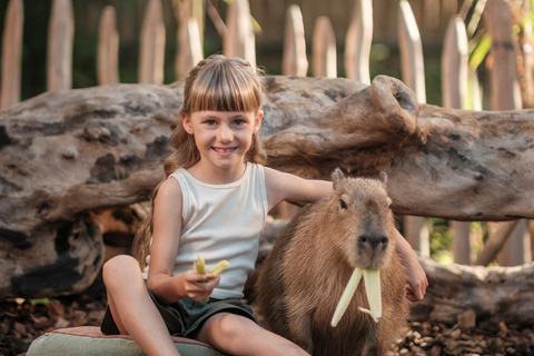 Bali Zoo: Capybara Brunch & Observation Experience Capybara Brunch Experience with Transfer