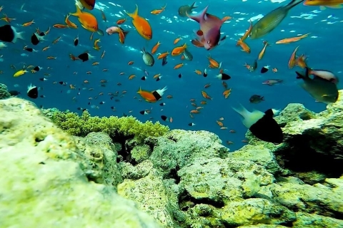 Hurghada: Insel Orange Bay und Schnorchelausflug mit Mittagessen