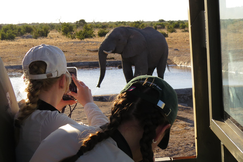 Victoria Falls & Chobe: 3-Day Safari with Cruise & Meals