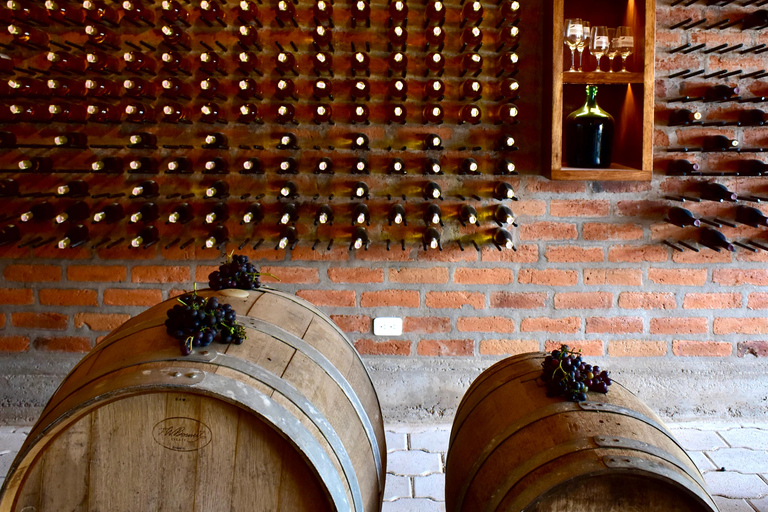 Quito: Half-day tour to high altitude vineyards and wine tasting