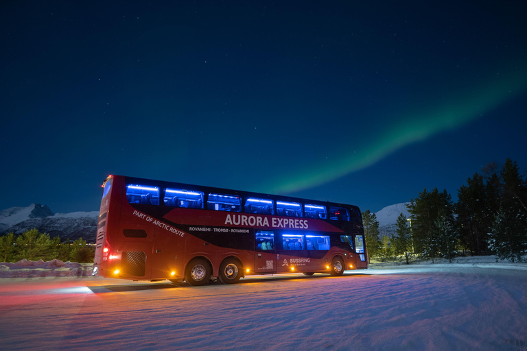 Tromsø-Rovaniemi: Aurora Express Night Bus Aurora Express Nightliner from Rovaniemi to Tromsø