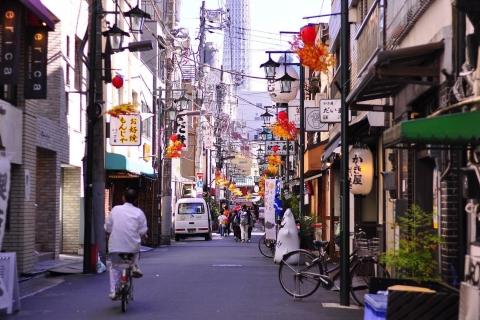 Smaken van Tsukiji: genieten van culinaire hoogstandjes