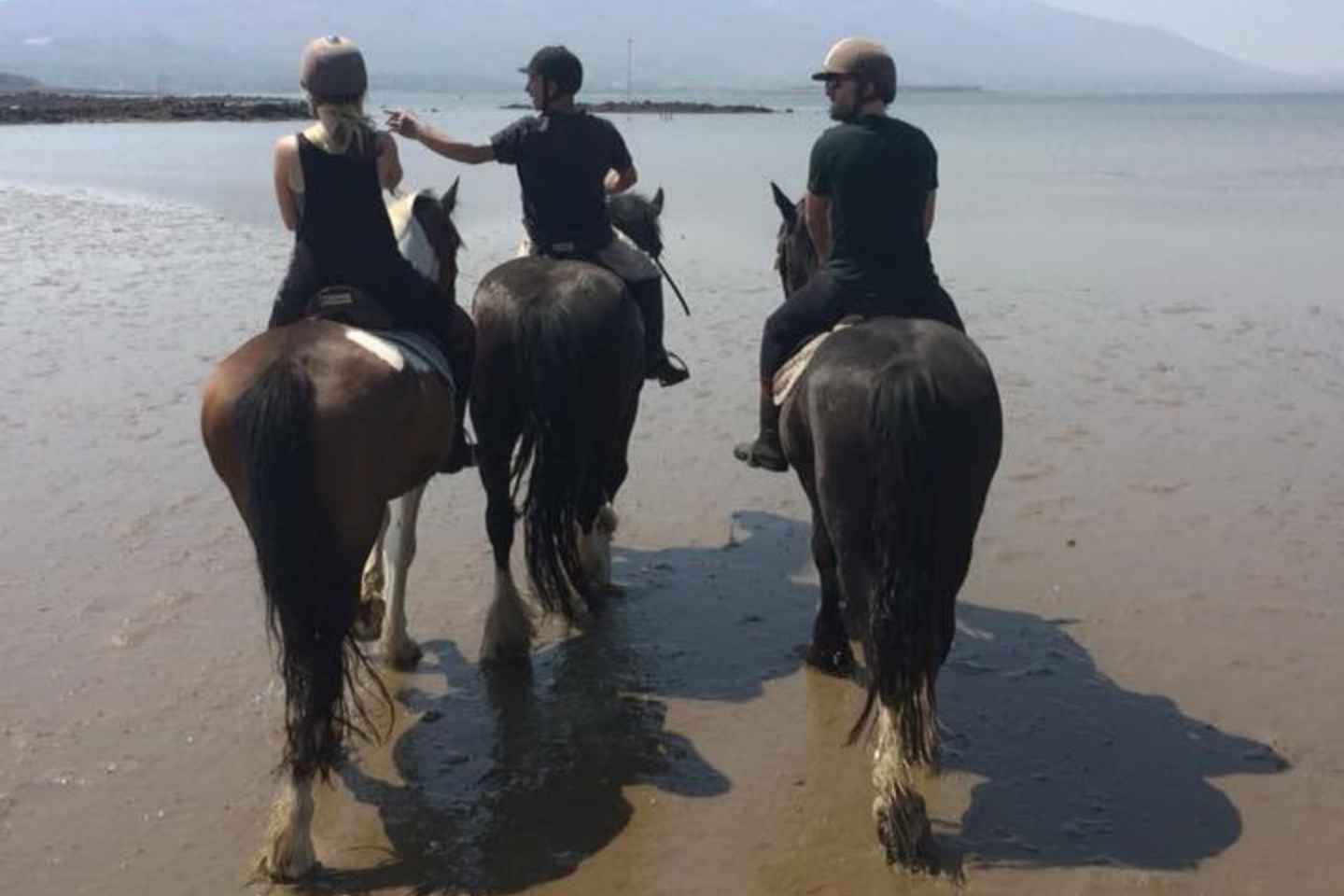 Westport: Passeggiata a Cavallo Guidata tra Spiaggia e Campagna