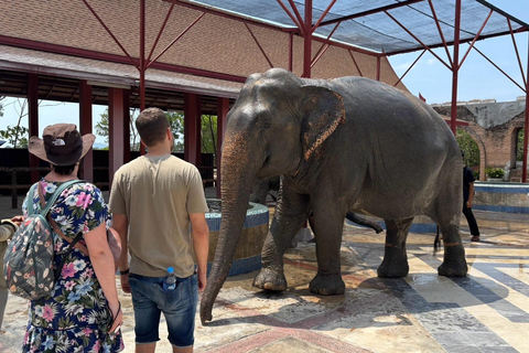 Phuket: Reserva de elefantes Freedom - Paseo por la naturaleza etéreaPhuket: Tour por la reserva natural Freedom Elephant Reserve con paseo y alimentación de elefantes