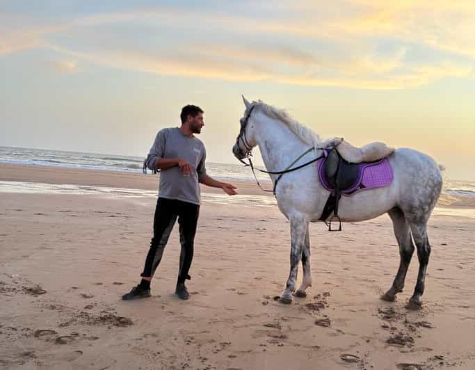 Taghazout : promenade à cheval sur la plage avec prise en charge à l'hôtel - equitation