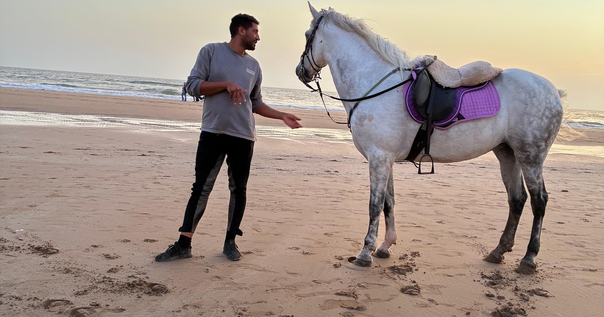 Taghazout: Strandausritt mit Hotelabholung | GetYourGuide