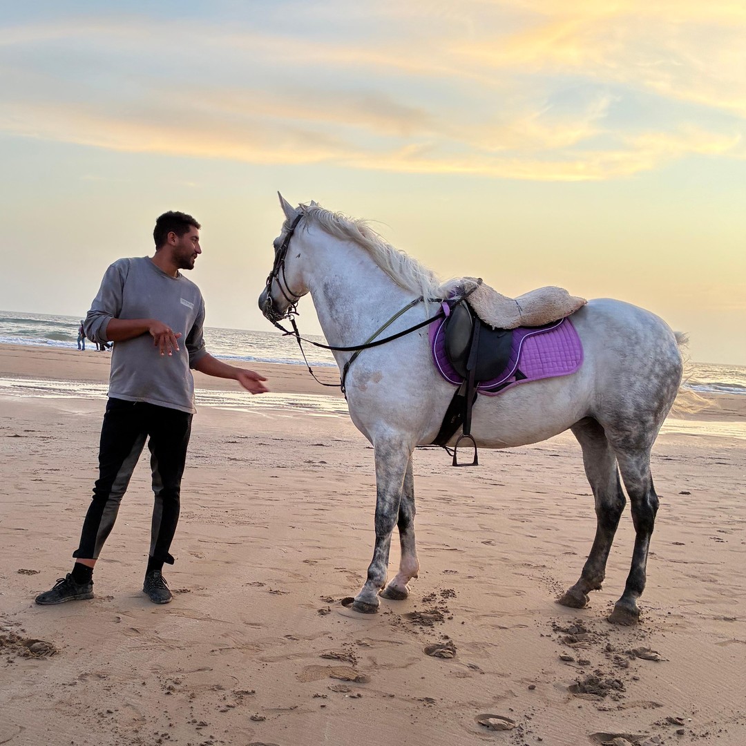 Taghazout : promenade à cheval sur la plage avec prise en charge à l'hôtel