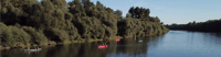 Bad Bellingen, Beginners Canoe Tour on the Altrhein - Housity