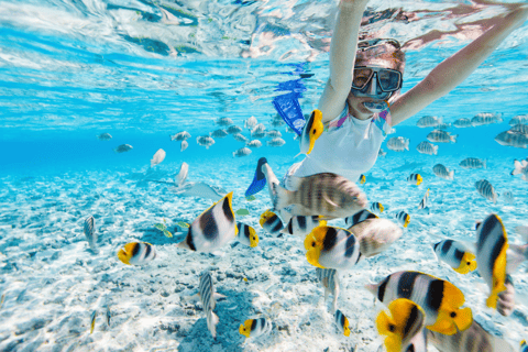 Gili Trawangan: Gruppi di snorkeling nei tre punti principaliOpzione 1: Snorkeling condiviso di 4 ore (punto di incontro Gili T)