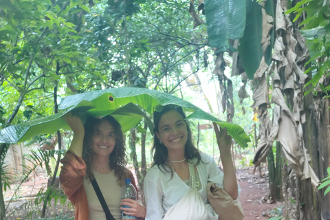 Zanzibar: Organic Spice Farm Tour With Fruit Tasting