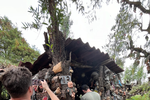 Mexico City: transport to the island of the dolls