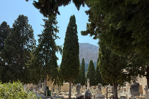 Palerme : visite du cimetière Rotoli et du sanctuaire Santa RosaliaPrivé