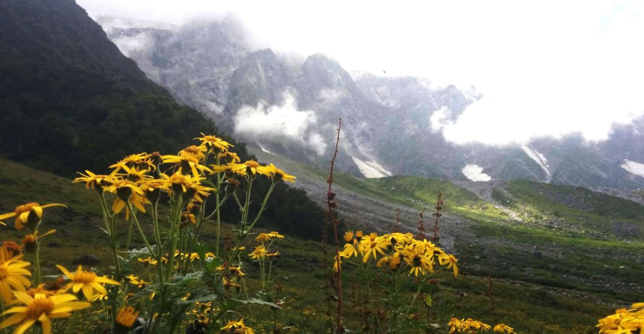 Beas Kund Trek( 比斯昆特 ) - Hizvo