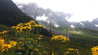 Beas Kund Trek - Hizvo