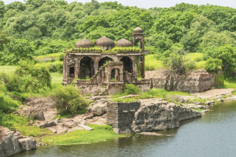 Same Day Sariska National Park Tour with Tiger Safari Same Day Sariska National Park Tour with Two Tiger Safari