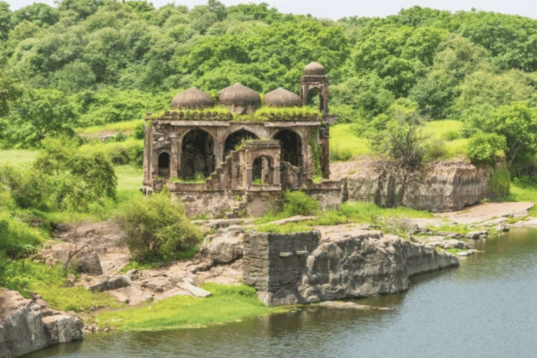 Same Day Sariska National Park Tour with Tiger Safari Same Day Sariska National Park Tour with Two Tiger Safari