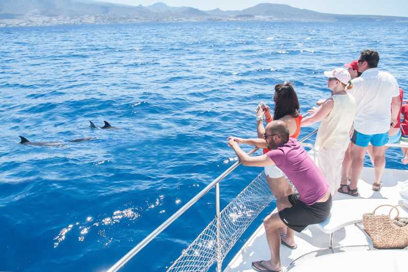 Tenerife : observation des baleines en catamaran