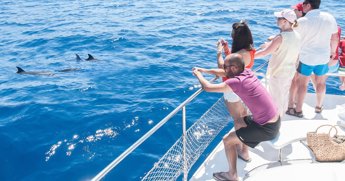 whale watching tour teneriffa