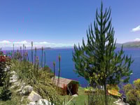 Giornata intera a Copacabana e Isla del Sol - Housity