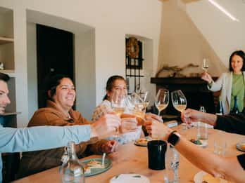 Da Venezia: Tour delle colline del Prosecco e degustazione di vini
