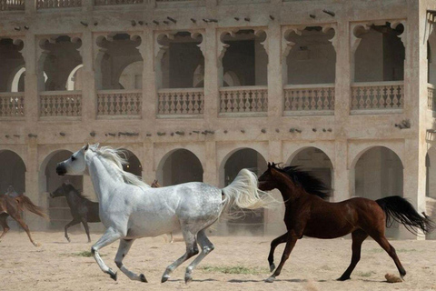 多哈：瓦吉夫集市导览与定制漫步之旅多哈：瓦吉夫集市导览之旅与策展步行导览