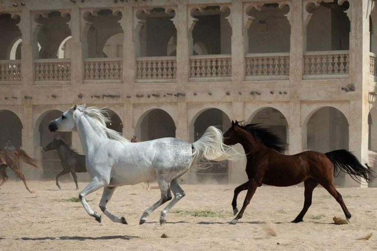 多哈：瓦吉夫集市导览与定制漫步之旅多哈：瓦吉夫集市导览之旅与策展步行导览