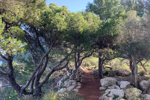 Valldemossa: Staden och de vackraste utsiktsplatserna