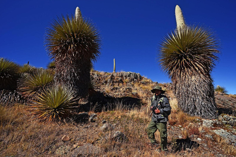 Huaraz: Nevado Pastoruri + Puyas Raymondi bos