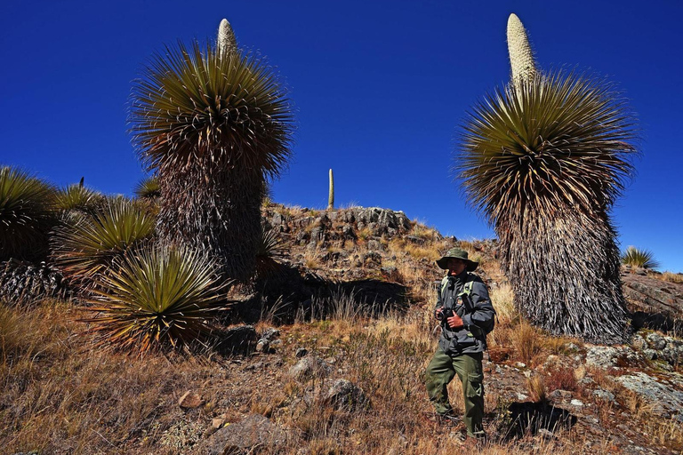 Huaraz: Nevado Pastoruri + Puyas Raymondi bos