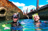 Da Brisbane o Gold Coast, Moreton Island Full-Day Trip - Hizvo