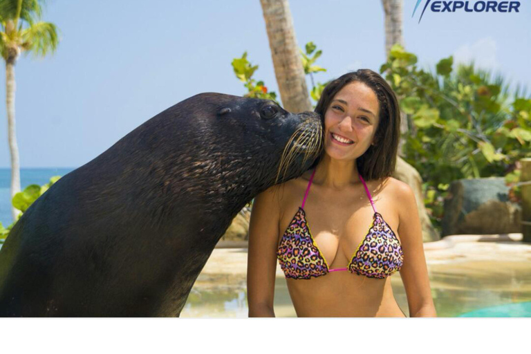 Punta Cana: Dolphin Swim with Bonus Sea Lion Show