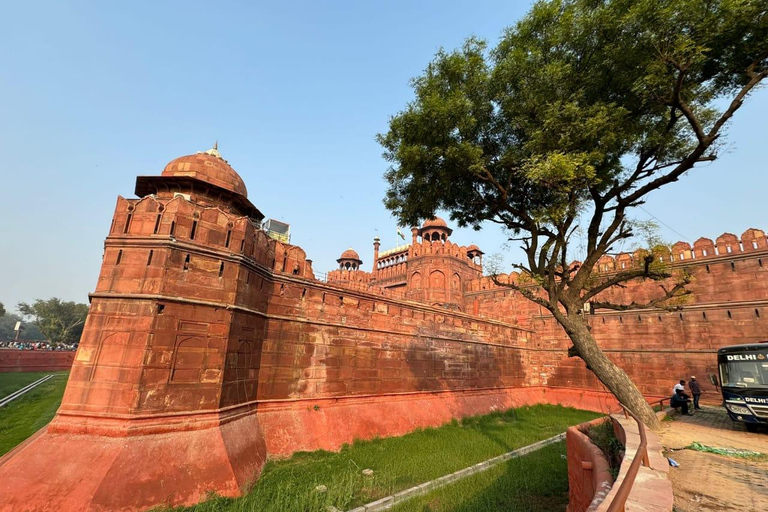 Adventures Wildlife Safari Tour with Golden Triangle 7Days Adventures Wildlife Safari Tour with Golden Triangle 7Days