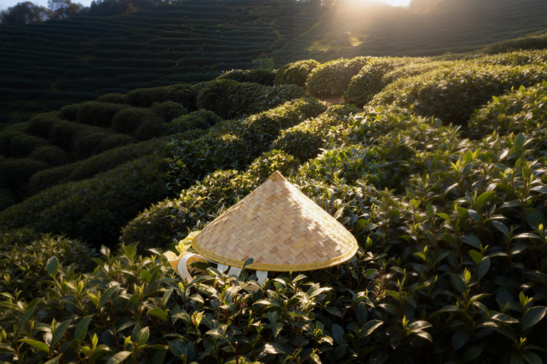 Hangzhou: West Lake, Tea Village /w Performance Private Tour