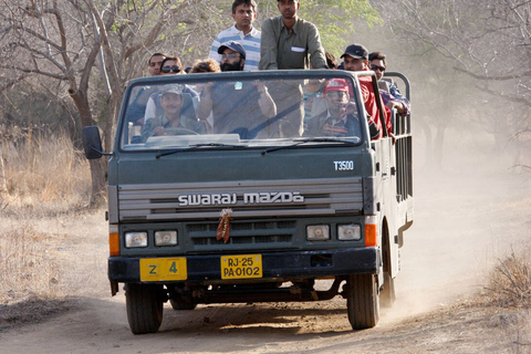从斋浦尔出发：Ranthambore 出租车之旅从斋浦尔出发：乘坐出租车游览兰特汉博尔