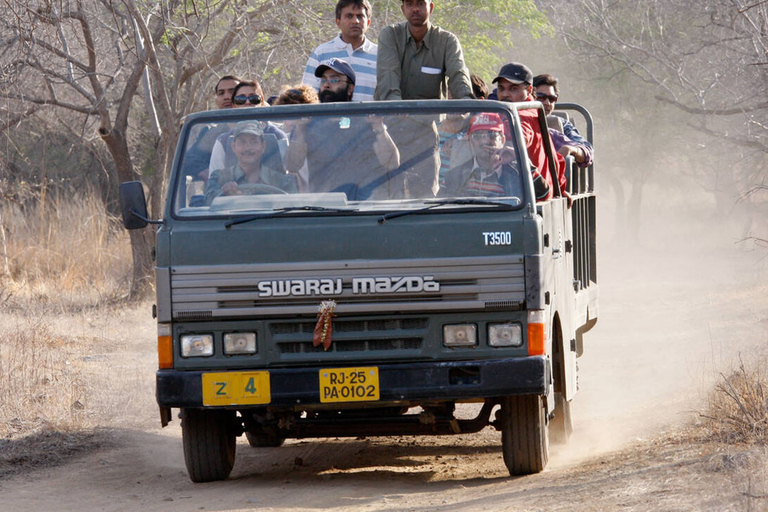 从斋浦尔出发：Ranthambore 出租车之旅从斋浦尔出发：乘坐出租车游览兰特汉博尔